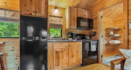Evergreen Escape | Cabin w/ Hot Tub, Fire Pit, Views & Trails Nearby