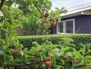 House | View from property