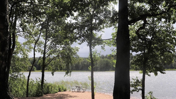 En campingplats vid sjön med picknickbord och fri utsikt över vattnet.