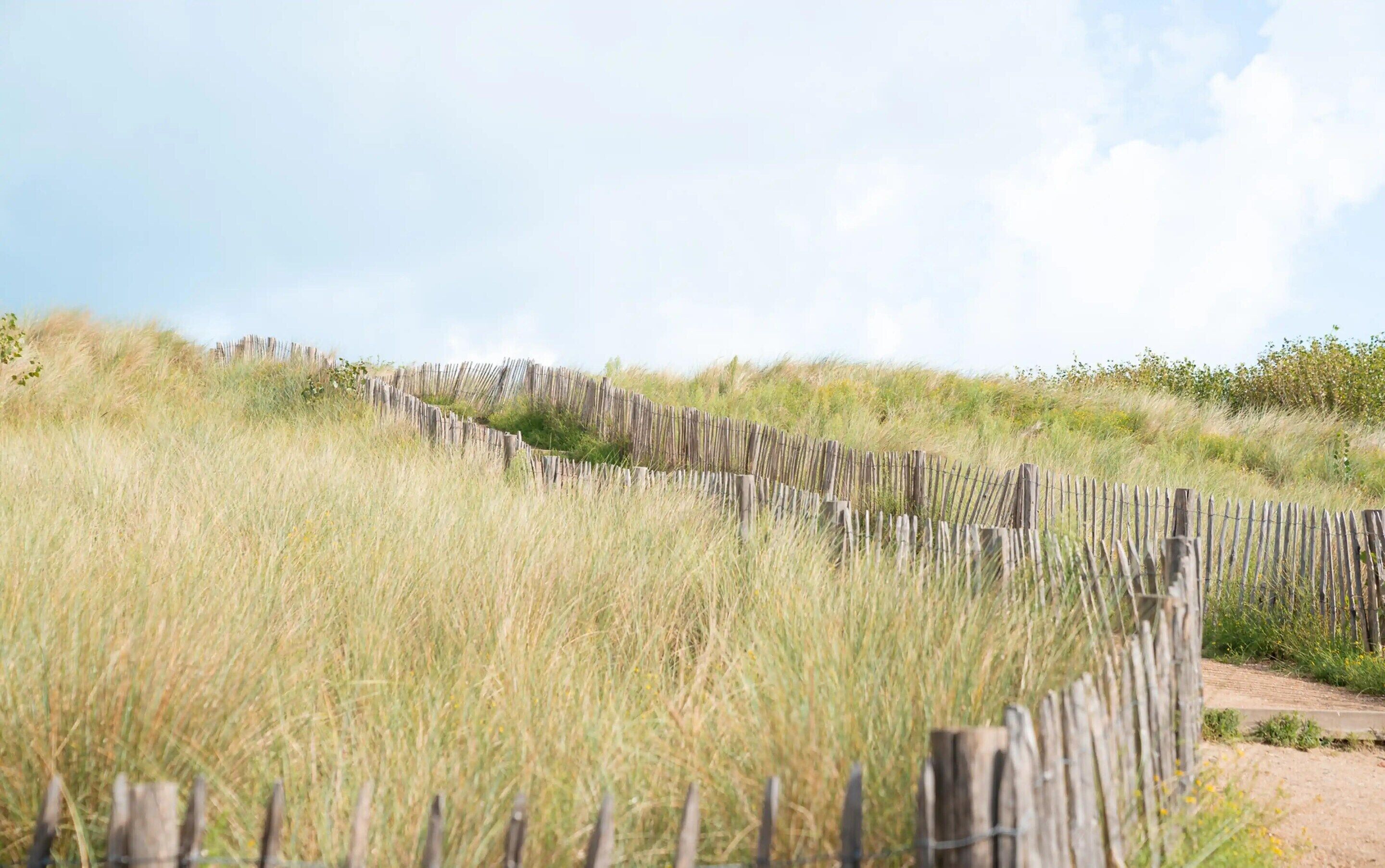 A wooden fence winding through a grassy field with a clear sky above.