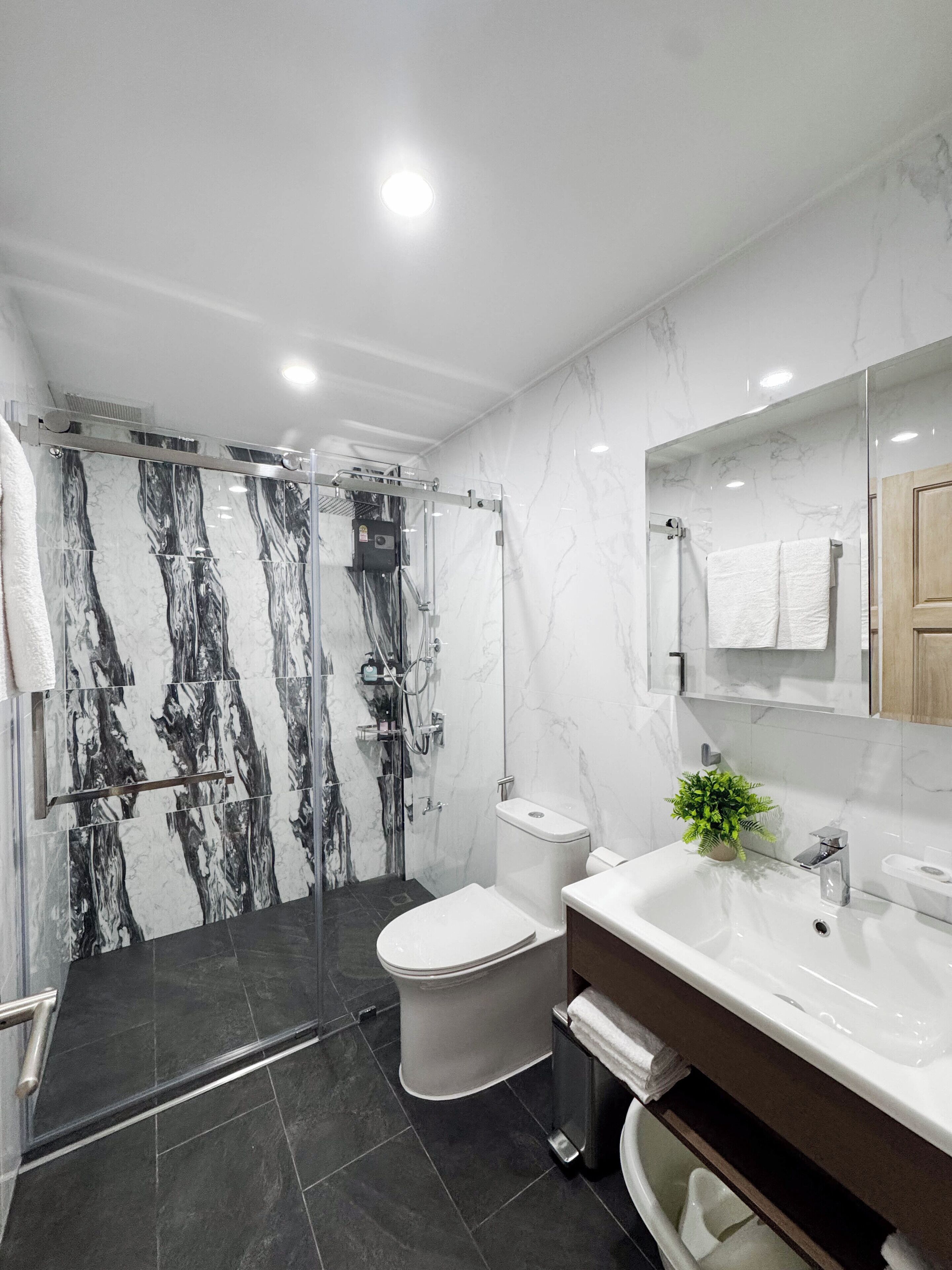 Shower, hair dryer, bidet, towels