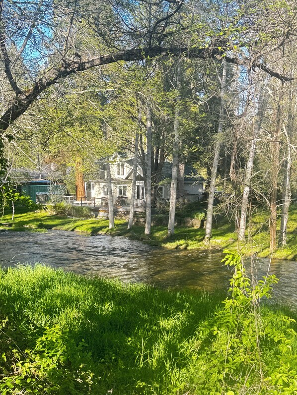 A riverside view with a house surrounded by trees and greenery.