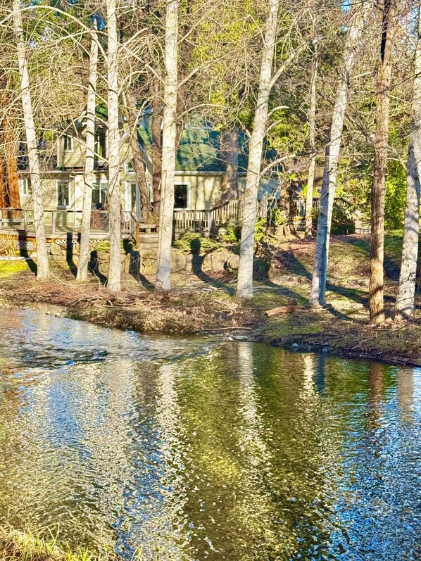 Udendørsområde