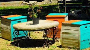 A garden area with a round table, two benches, and a potted plant. - The House Plaza Hotel (Guarujá)