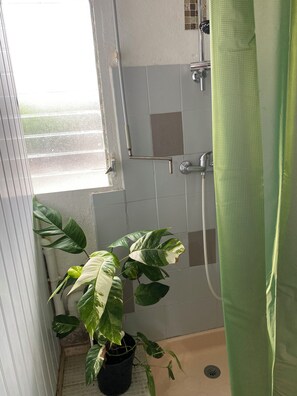 Secadora de cabello, toallas, jabón, papel de baño 