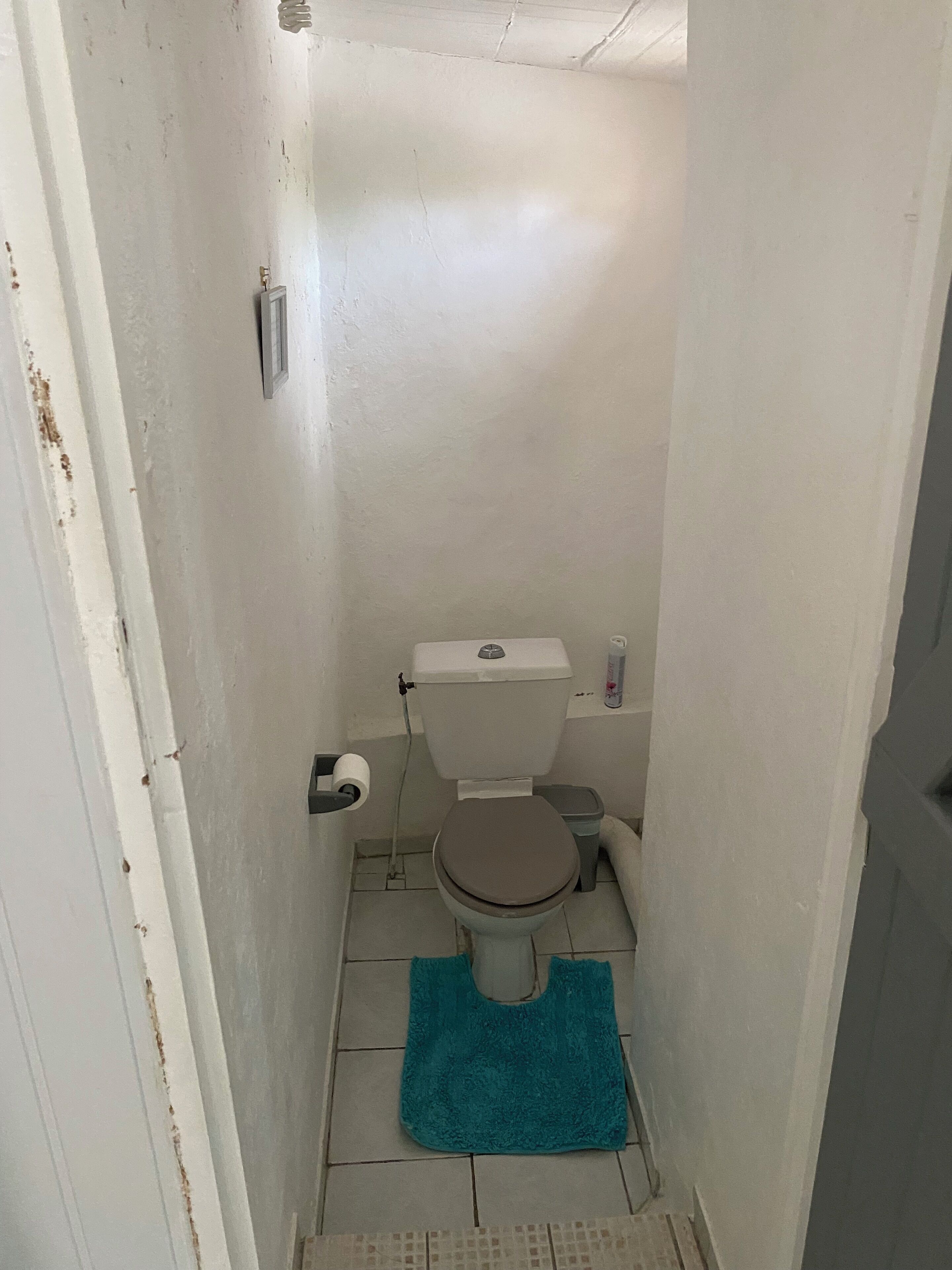 A small, narrow bathroom with a toilet, a roll of toilet paper, and a trash bin.