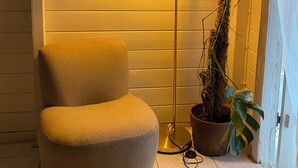 A corner with a beige armchair, a tall floor lamp, and a potted plant with broad leaves.