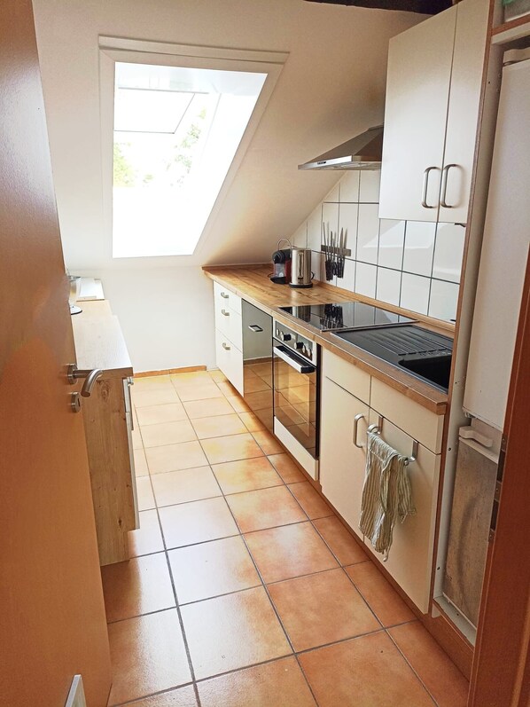 Oven, stovetop, dishwasher