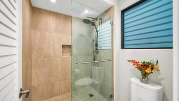 Shower, hair dryer
