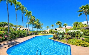 A swimming pool surrounded by palm trees and greenery, with a clear blue sky.