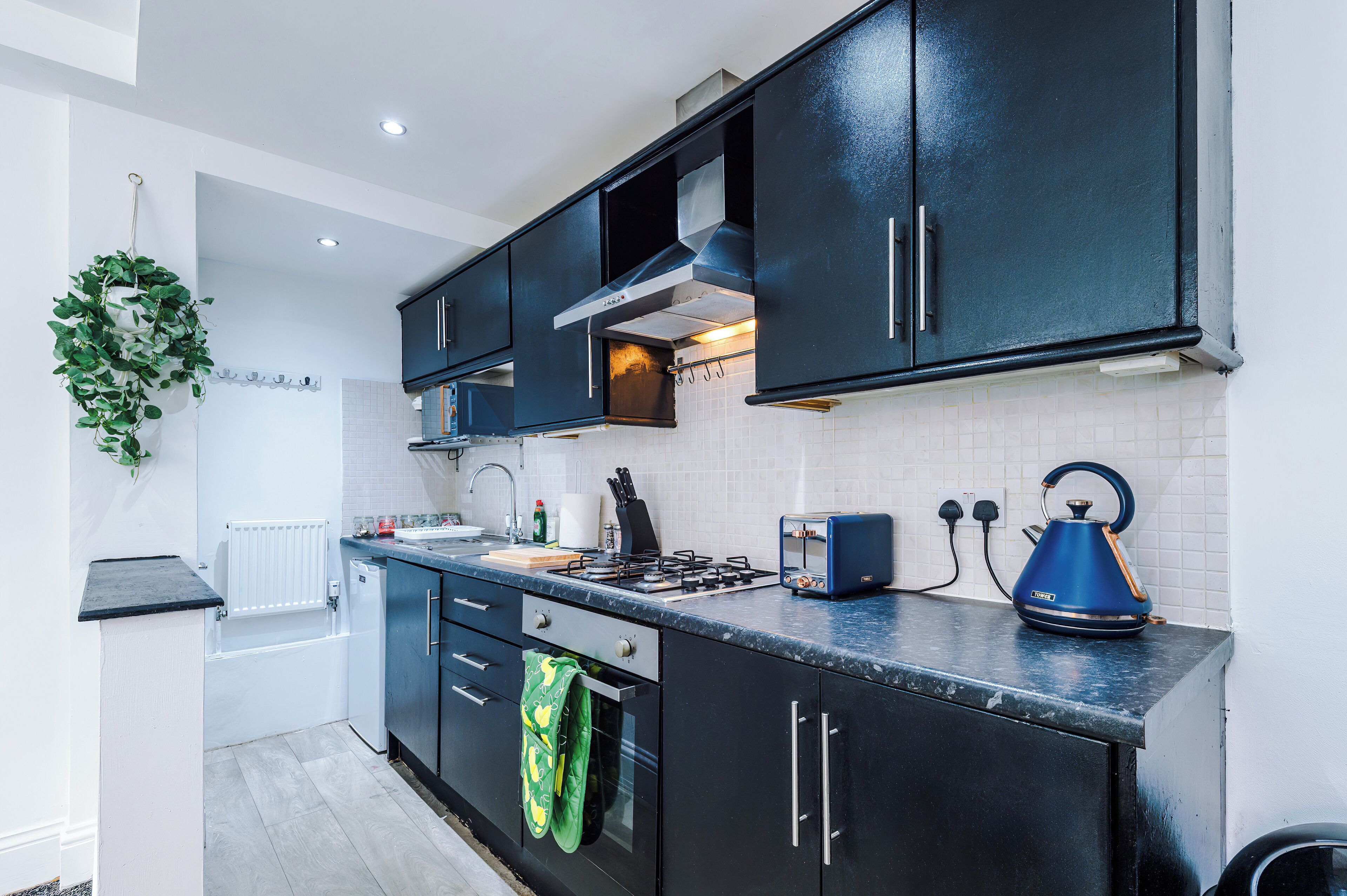 Een microgolfoven, een oven, een kookplaat