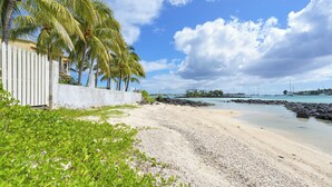 A beach with a white fence, palm trees, and a clear sky.