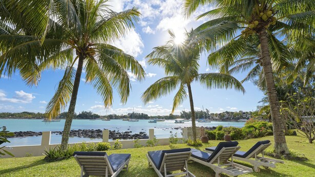A tropical resort with palm trees, a pool, and lounge chairs.