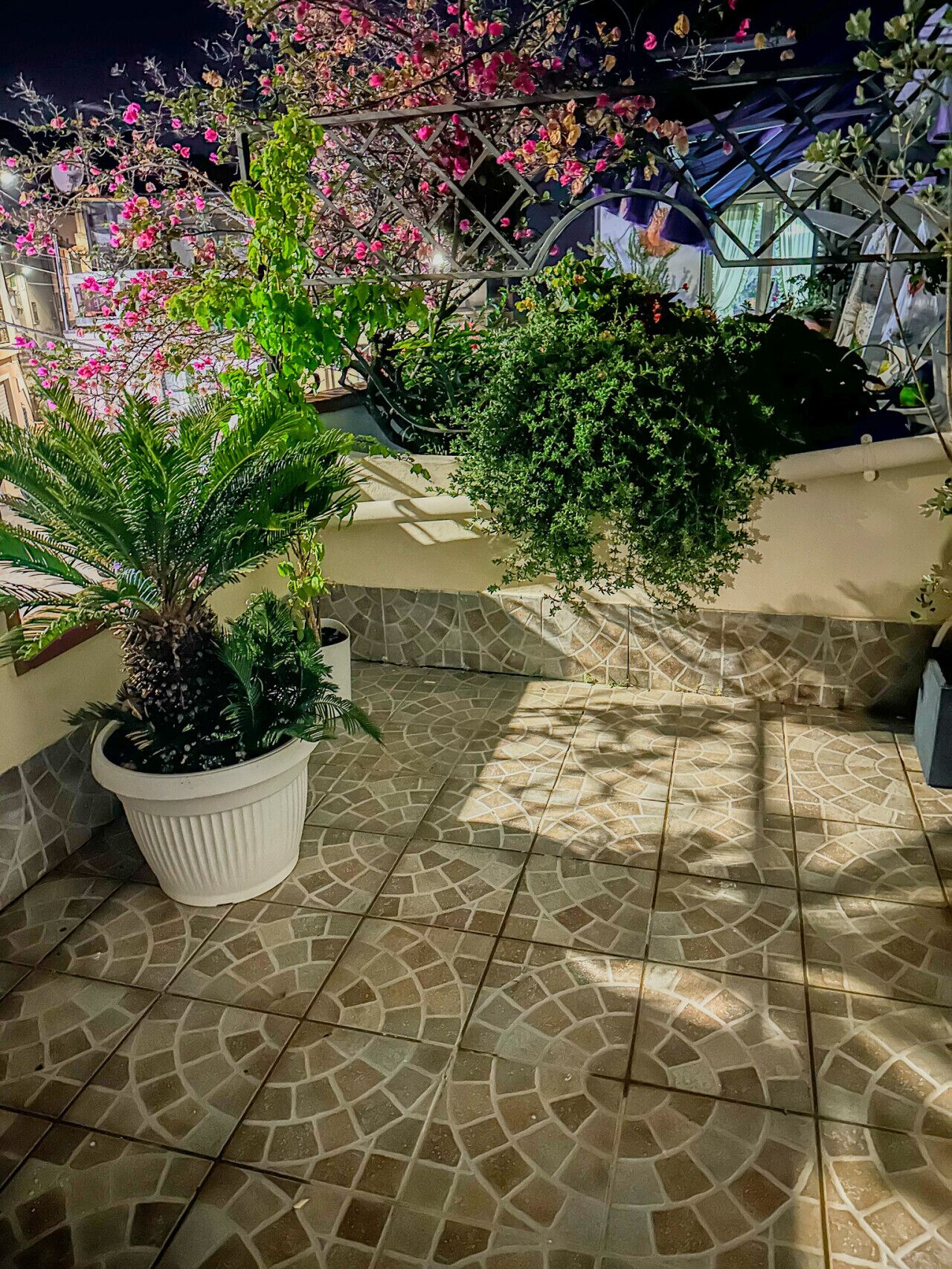 Enceinte de l’hébergement