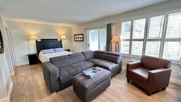 Standard Apartment, 1 Queen Bed with Sofa bed, Balcony, Mountain View | Living area