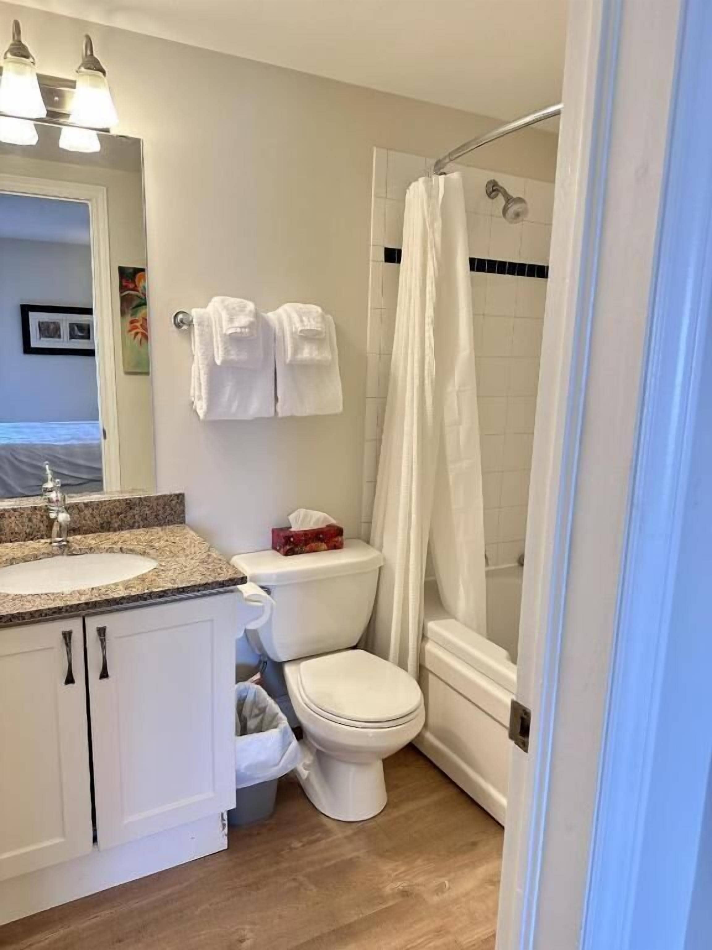Une salle de bain avec un lavabo, des toilettes et une douche.