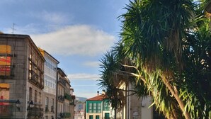 Una plaza con adoquines de piedra, una palmera y edificios con balcones y ventanas.