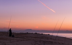 A beach scene with fishing rods and a person standing near the water.