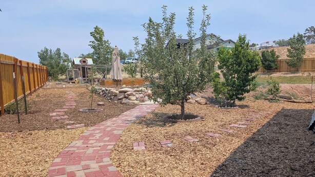 A landscaped garden with a brick pathway, small trees, and a wooden fence.