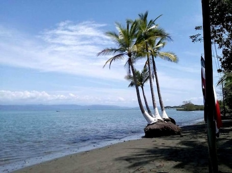 Una playa cerca, arena blanca