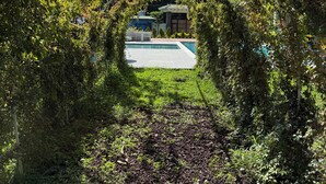 A pathway leading to a building with a blue roof, surrounded by lush greenery and trees.