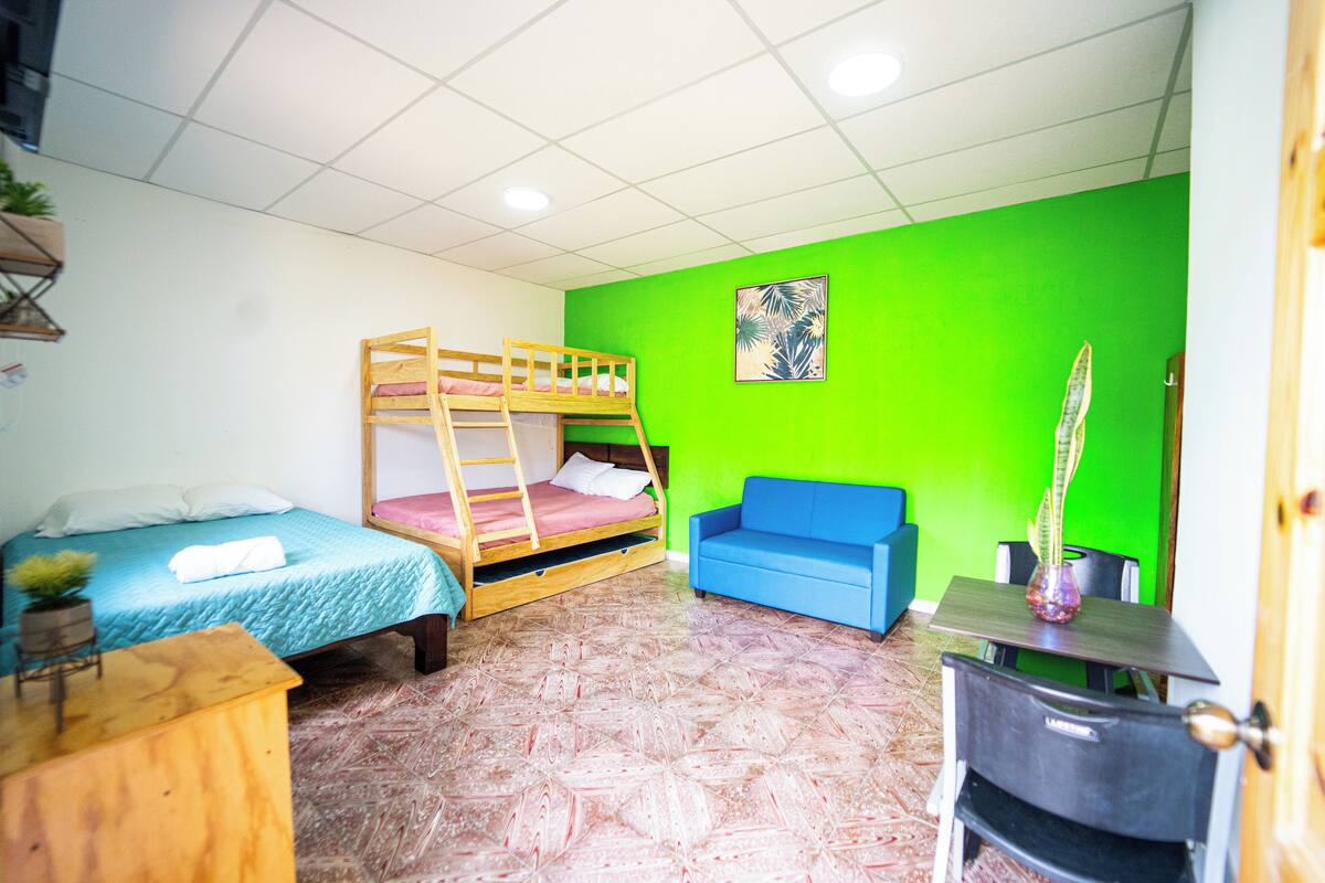 A dormitory room with bunk beds, a blue sofa, a small table with a vase, and a green wall.
