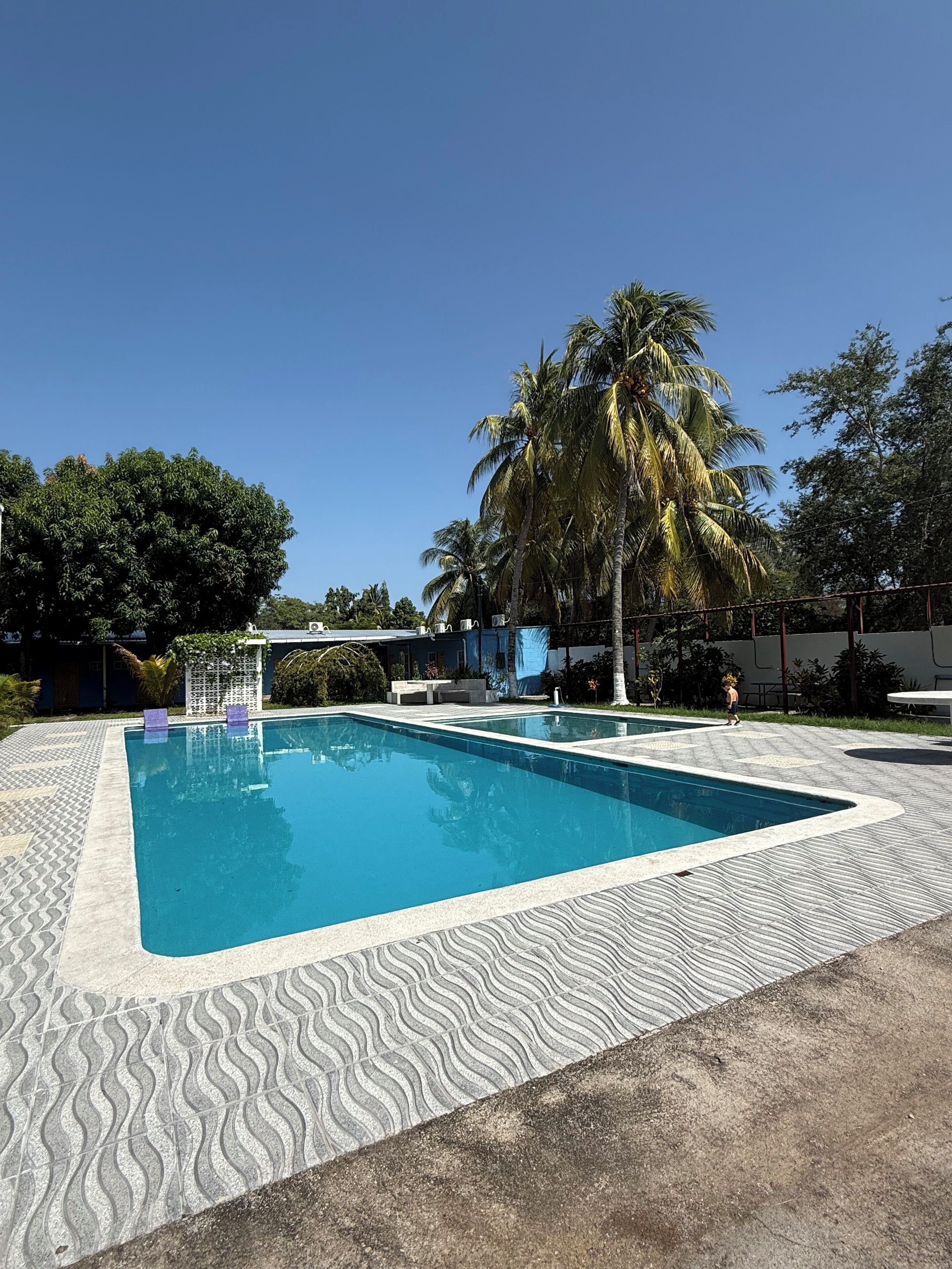 Una piscina rectangular con un borde de azulejos ondulado, rodeada de palmeras y una zona de estar cubierta.
