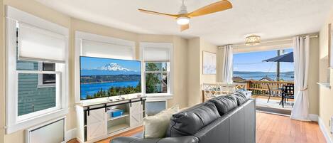 Smart TV, books, computer monitors