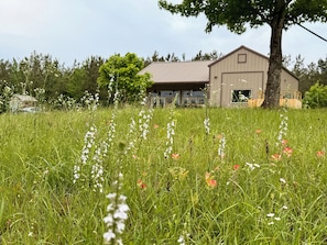 Un cadre rural avec un bâtiment doté d’une grande véranda ouverte et d’un toit en métal.