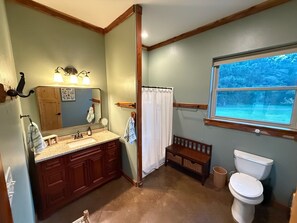 Shower, hair dryer, bidet, towels