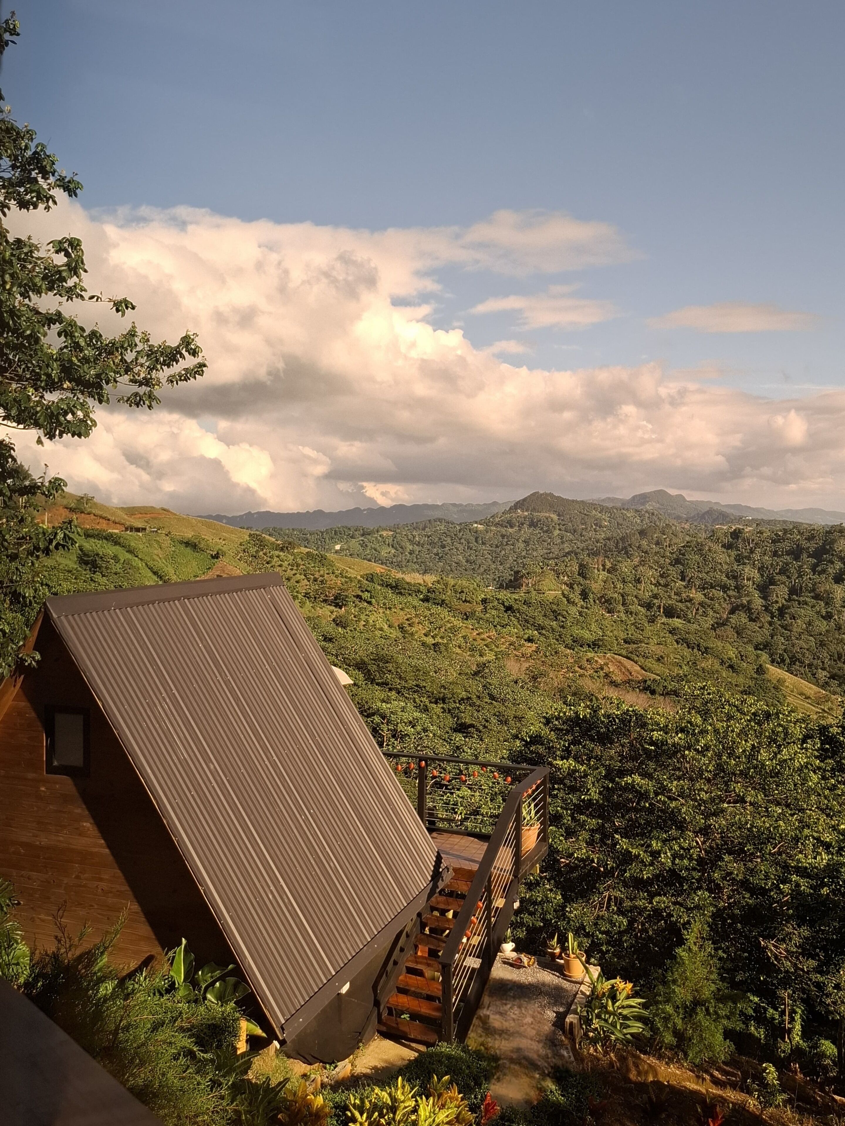 View from property