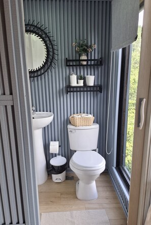 Shower, towels, soap, toilet paper