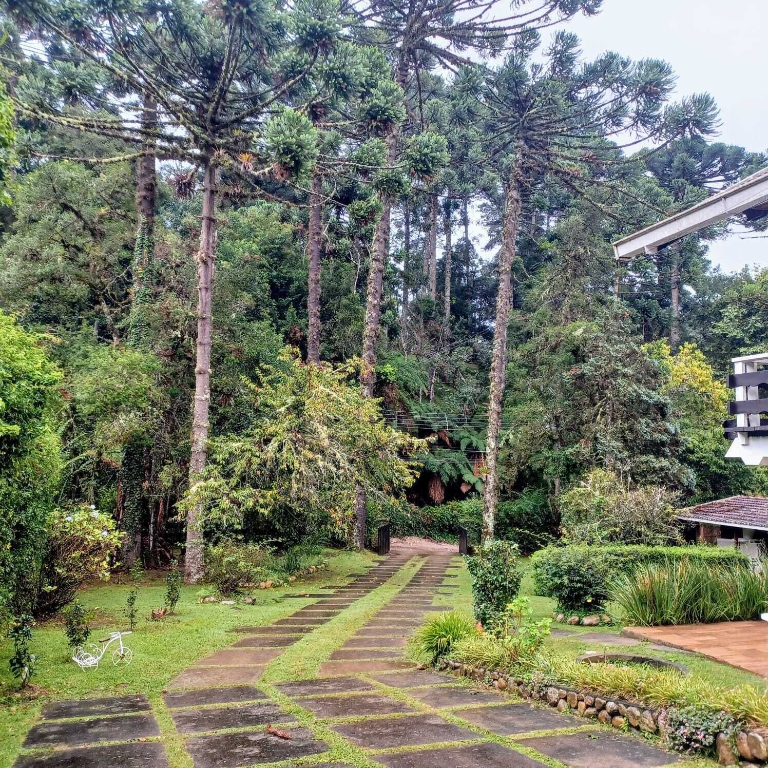 Área da propriedade