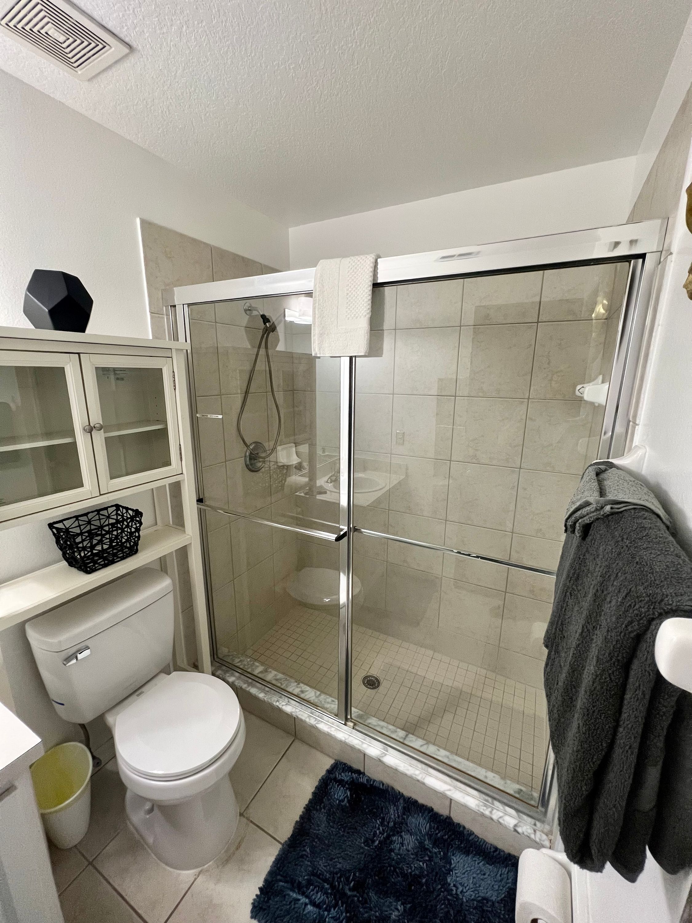 Une salle de bain moderne avec une douche à parois de verre, des toilettes et un lavabo.