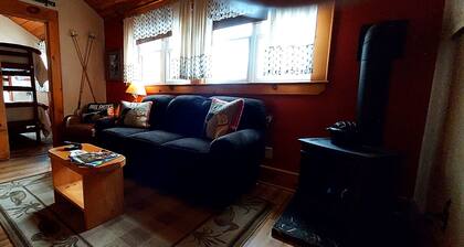 Authentic ADK cabin minutes to Rail Trail, mountains, Lake Placid!