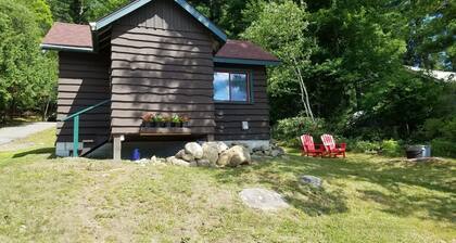 Historic Cabin Retreat - In Town and On the Lake! Minutes to Rail Trail