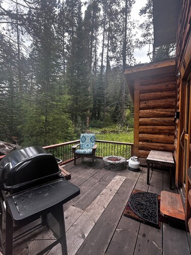 Charming cabin with WiFi in Silver Gate/Cooke City