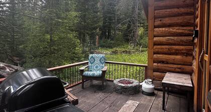 Charming cabin with WiFi in Silver Gate/Cooke City