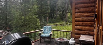 Charming cabin with WiFi in Silver Gate/Cooke City