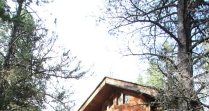 Charming cabin with WiFi in Silver Gate/Cooke City