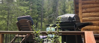 Charming cabin with WiFi in Silver Gate/Cooke City