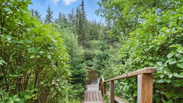 A wooden pathway leading through a forested area with dense greenery on both sides.
