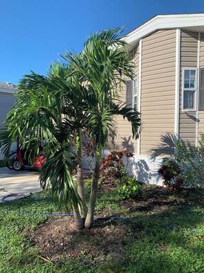 Property grounds - Private Rental Sun Outdoor Sarasota Florida
Approximately 15 minutes to the Gulf (Sarasota)