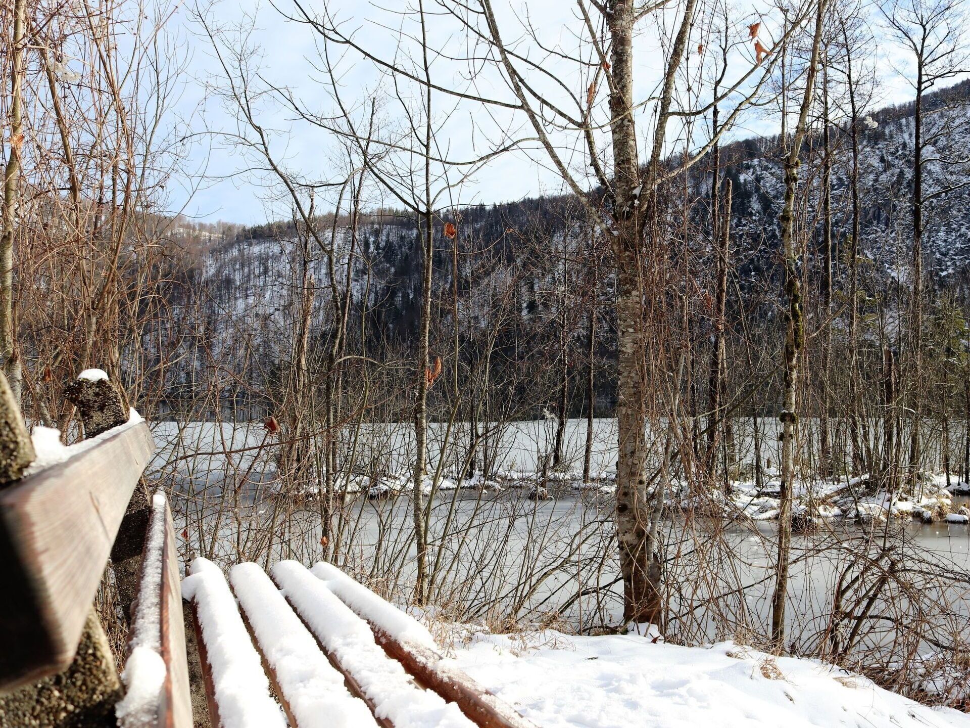 Ciel, Neige, Plante, Branche, Bois, Brindille, Paysage Naturel, Tronc, Arbre, Gelé