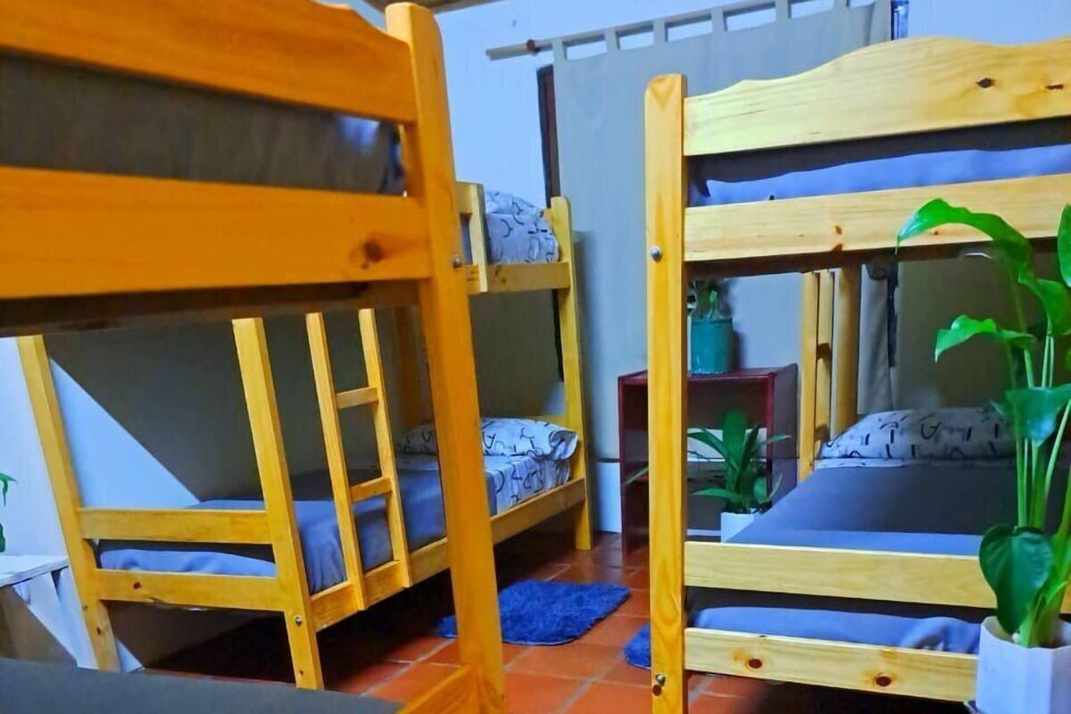 Ein Schlafsaalzimmer mit zwei Etagenbetten, einem kleinen Tisch und einem Blumentopf.