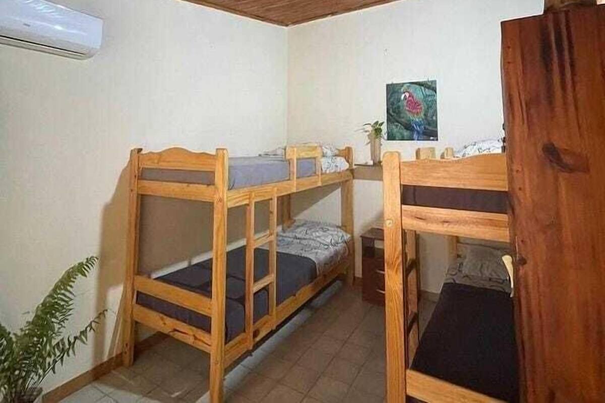 Ein kleiner, hölzerner Raum mit Etagenbetten, einem Topfpflanzen und einem Bild an der Wand.
