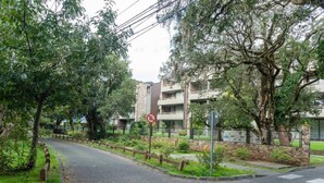 Apartment - Modern Nature Retreat Puc n (Pucón)