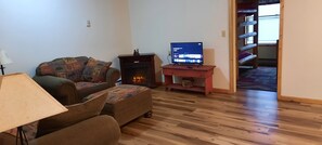 TV connectée, cheminée, livres