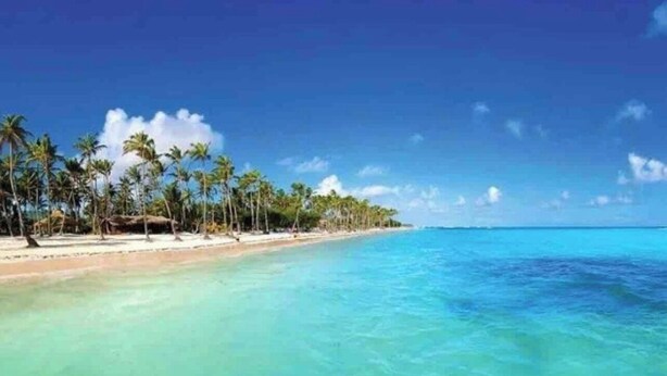 A beach with clear turquoise water and palm trees.