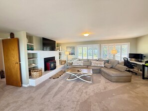 Smart TV, fireplace, computer monitors, printers